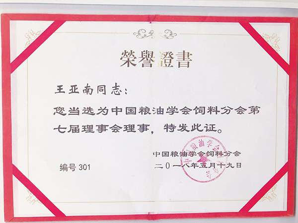 榮譽(yù)證書(shū)-王亞南.jpg